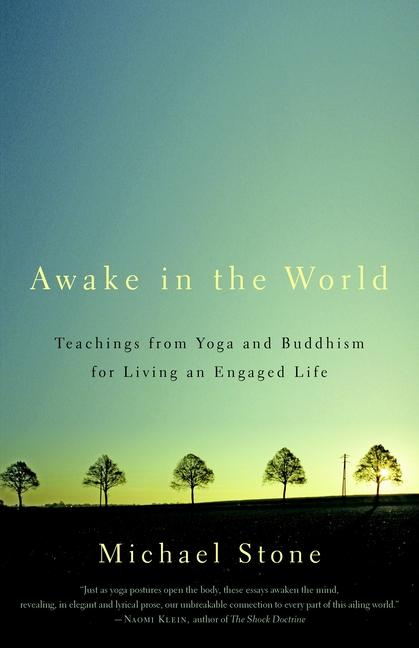 Cover: 9781590308141 | Awake in the World: Teachings from Yoga &amp; Buddhism for Living an...