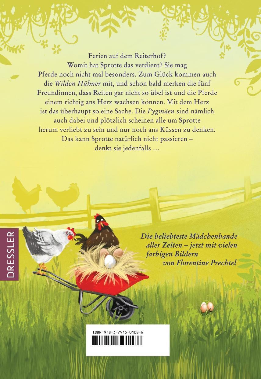 Rückseite: 9783791501086 | Die Wilden Hühner und das Glück der Erde | Cornelia Funke | Buch