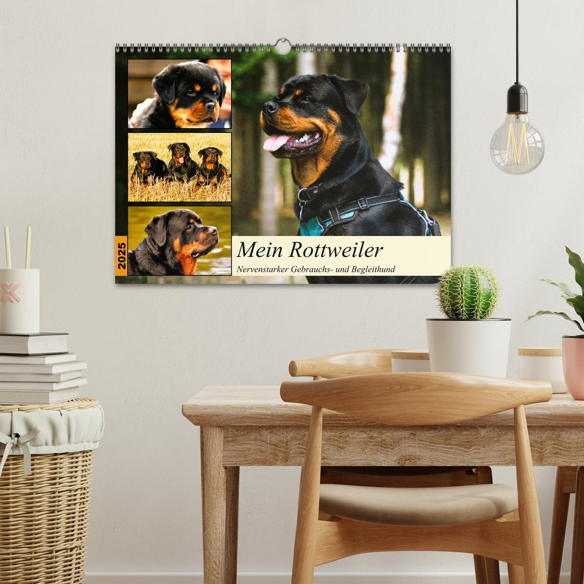 Bild: 9783383948138 | Mein Rottweiler. Nervenstarker Gebrauchs- und Begleithund...