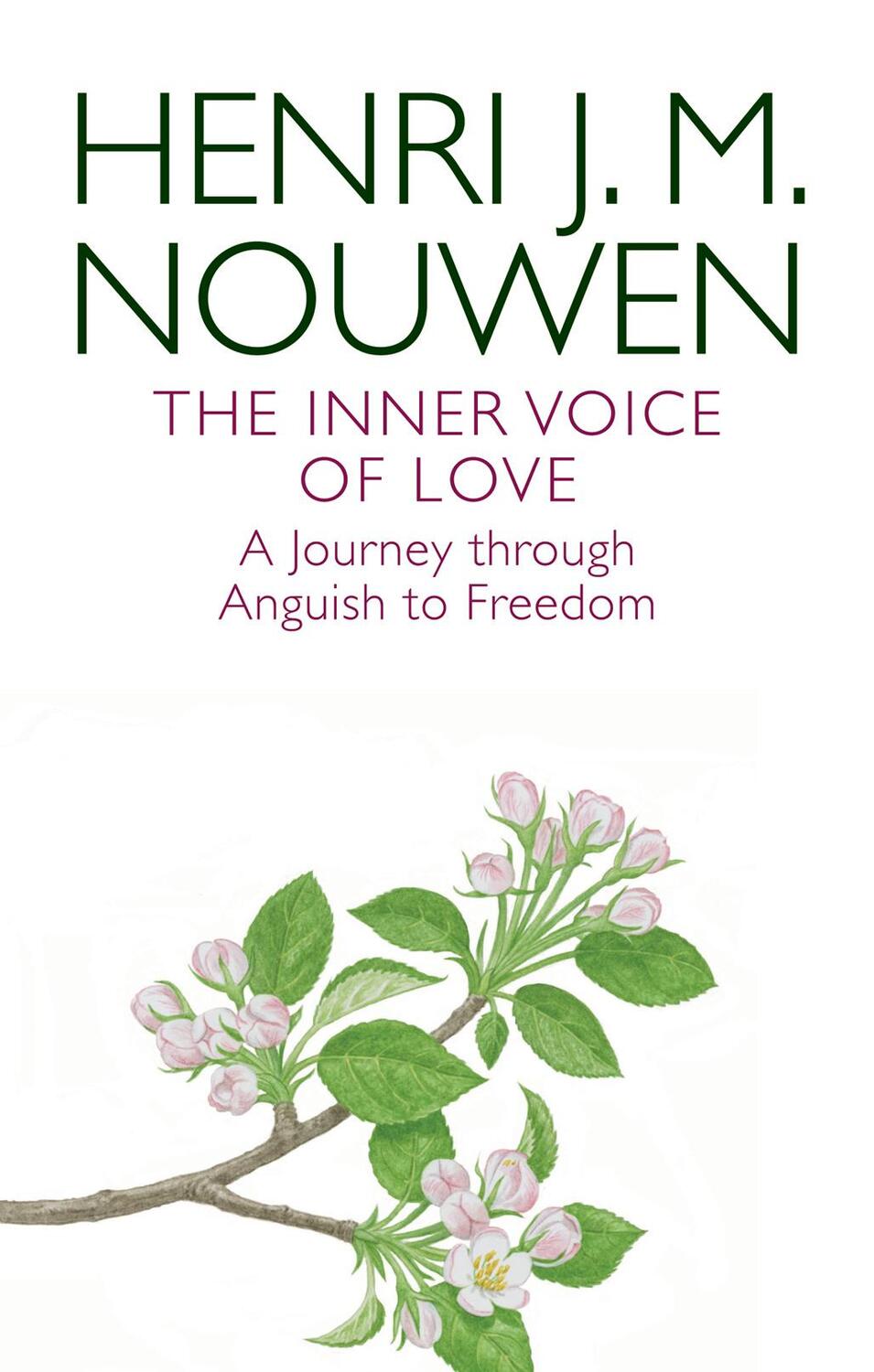 Cover: 9780232530780 | The Inner Voice of Love | A Journey Through Anguish to Freedom | Buch