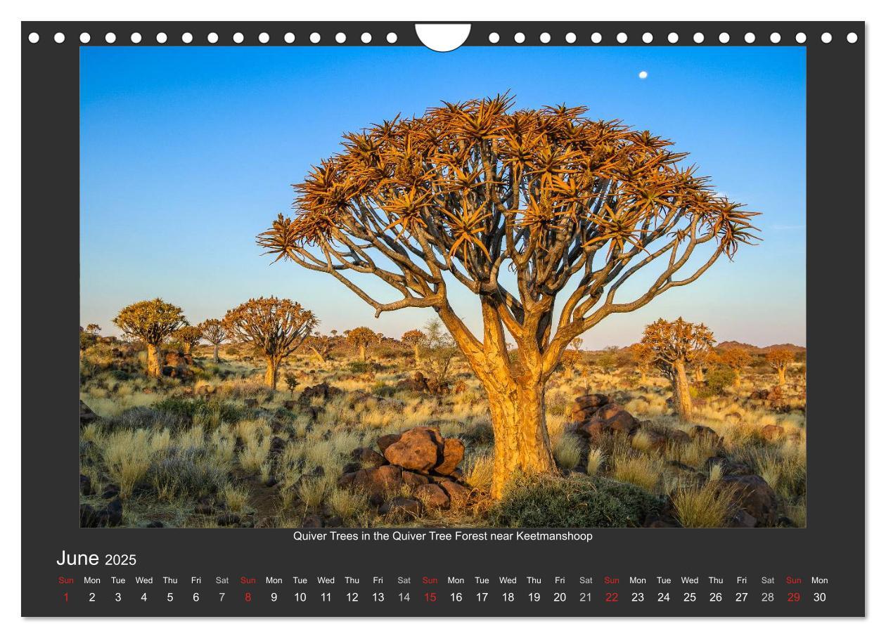 Bild: 9781325964369 | Namibia's Nature (Wall Calendar 2025 DIN A4 landscape), CALVENDO 12...