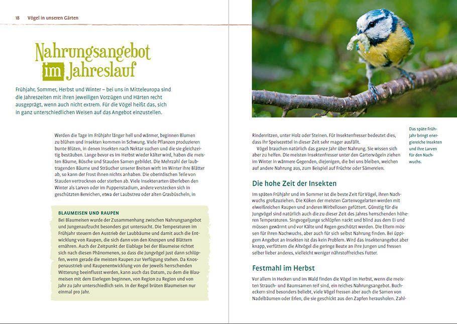 Bild: 9783818616557 | Vögel füttern im Garten | Norbert Schäffer (u. a.) | Taschenbuch