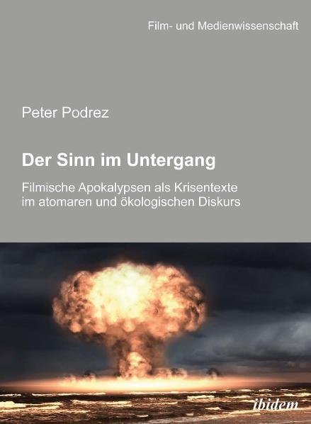 Cover: 9783838202549 | Der Sinn im Untergang. Filmische Apokalypsen als Krisentexte im...