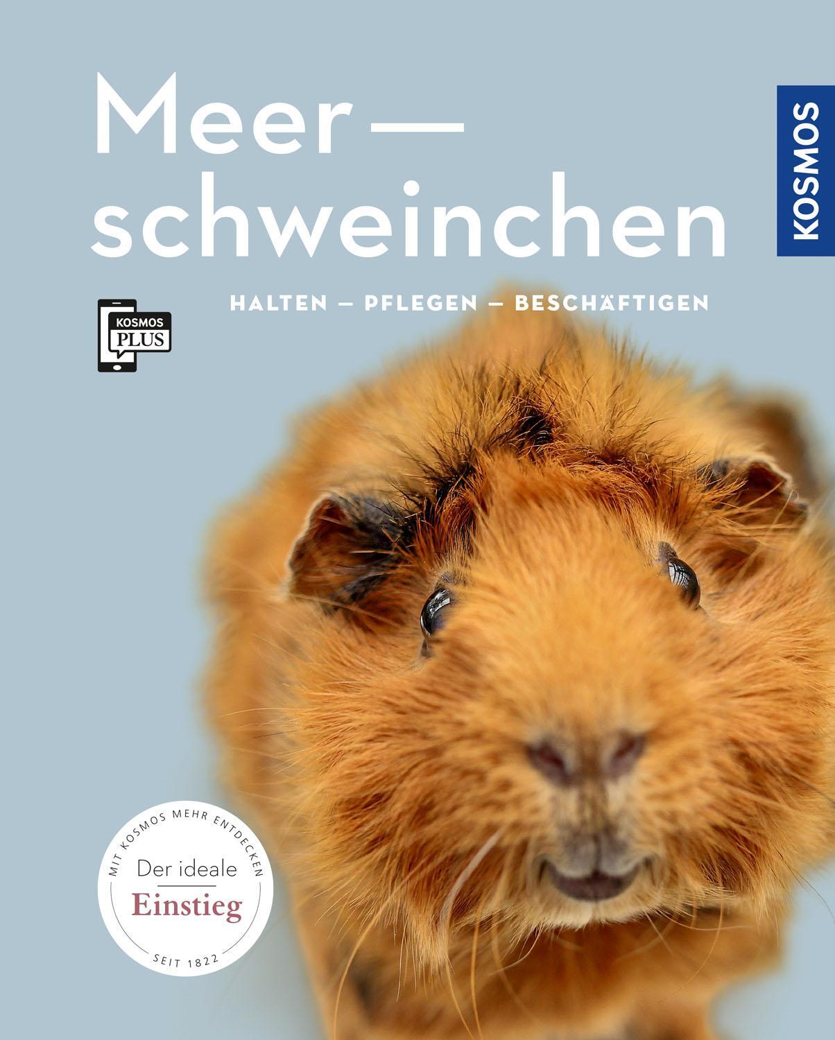Cover: 9783440157541 | Meerschweinchen | Halten - Pflegen - Beschäftigen | Angela Beck | Buch