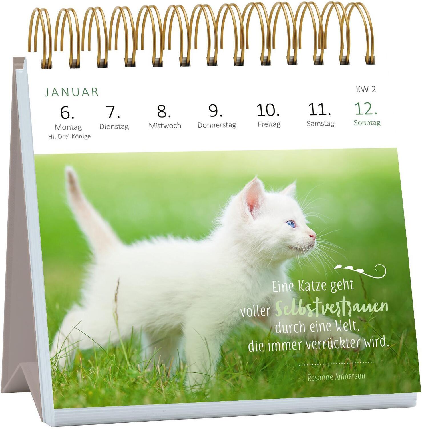 Bild: 4014489133063 | Mini-Wochenkalender Katzenweisheiten 2025 | Kalender | 108 S. | 2025