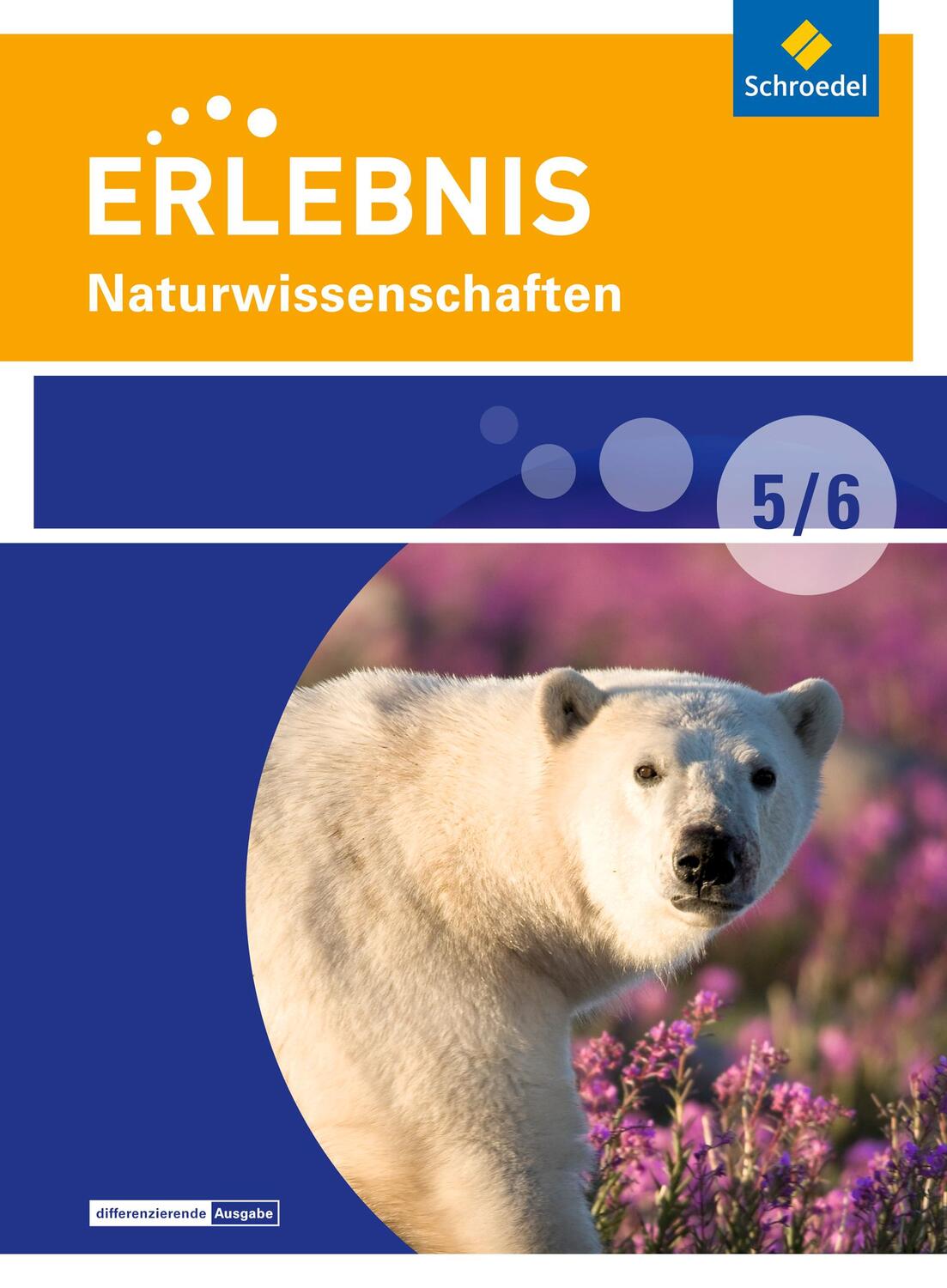 Cover: 9783507781801 | Erlebnis Naturwissenschaften 5 / 6. Schülerband. Differenzierende...
