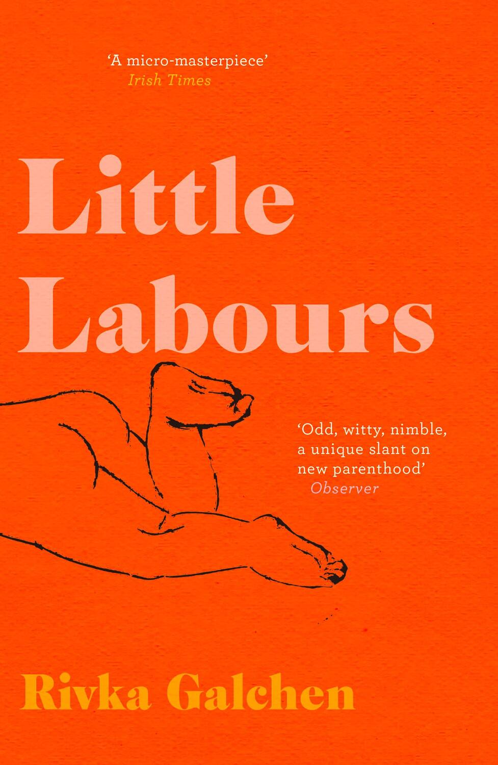 Cover: 9780008225209 | Little Labours | Rivka Galchen | Taschenbuch | Kartoniert / Broschiert