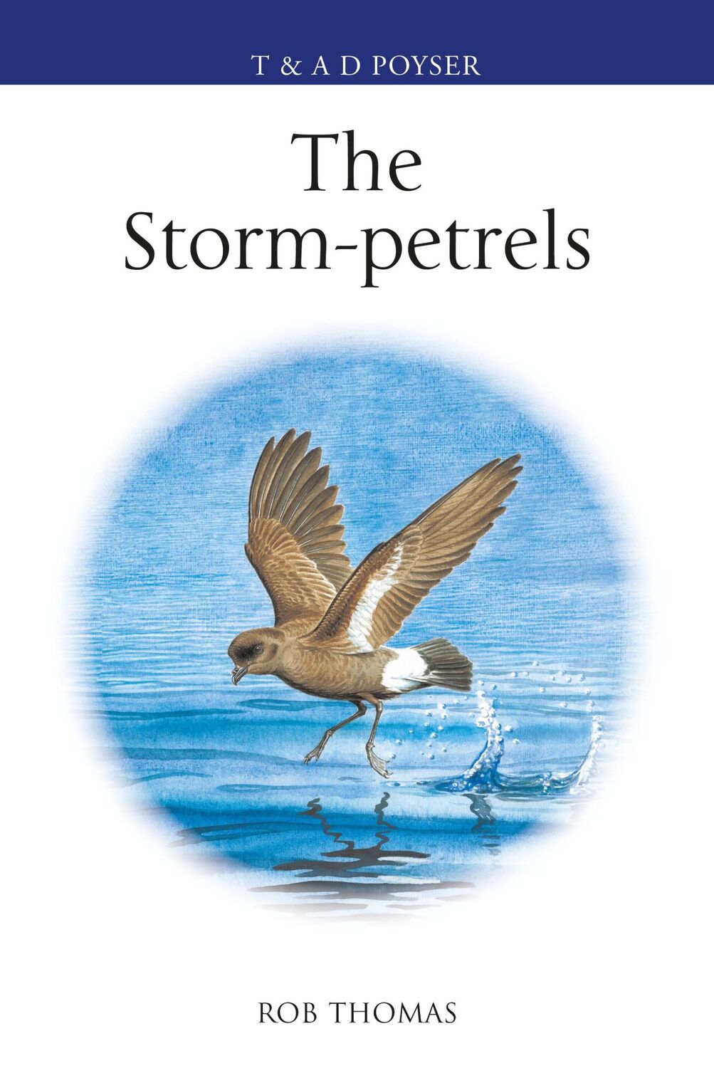 Cover: 9781472985811 | The Storm-petrels | Rob Thomas | Buch | Englisch | 2024