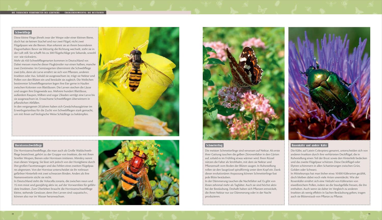Bild: 9783809439721 | Biene, Igel, Schmetterling. So wird Ihr Garten zum Naturparadies