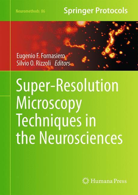 Cover: 9781627039826 | Super-Resolution Microscopy Techniques in the Neurosciences | Buch