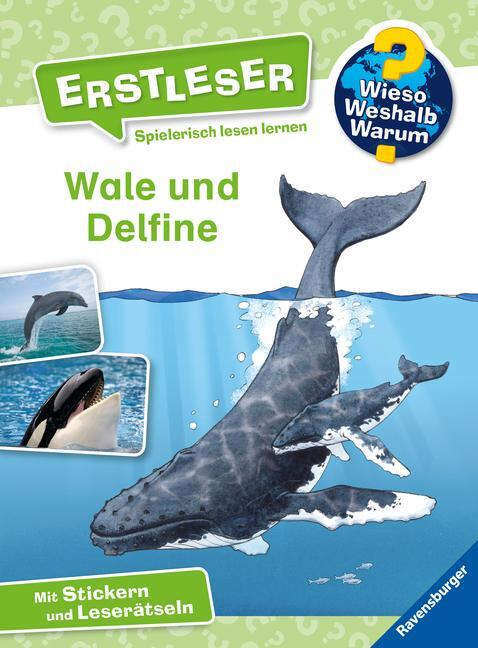Cover: 9783473600021 | Wieso? Weshalb? Warum? Erstleser: Wale und Delfine (Band 3) | Noa