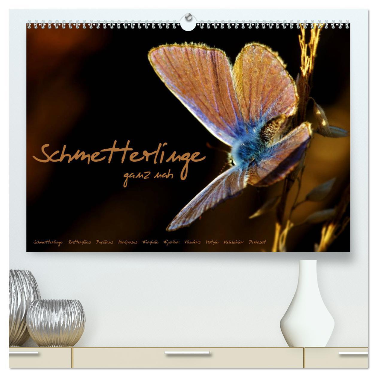 Cover: 9783383464607 | Schmetterlinge ganz nah (hochwertiger Premium Wandkalender 2024 DIN...