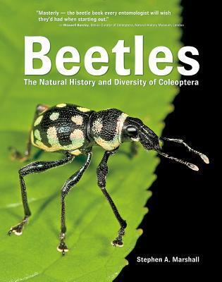 Cover: 9780228100690 | Beetles | The Natural History and Diversity of Coleoptera | Marshall