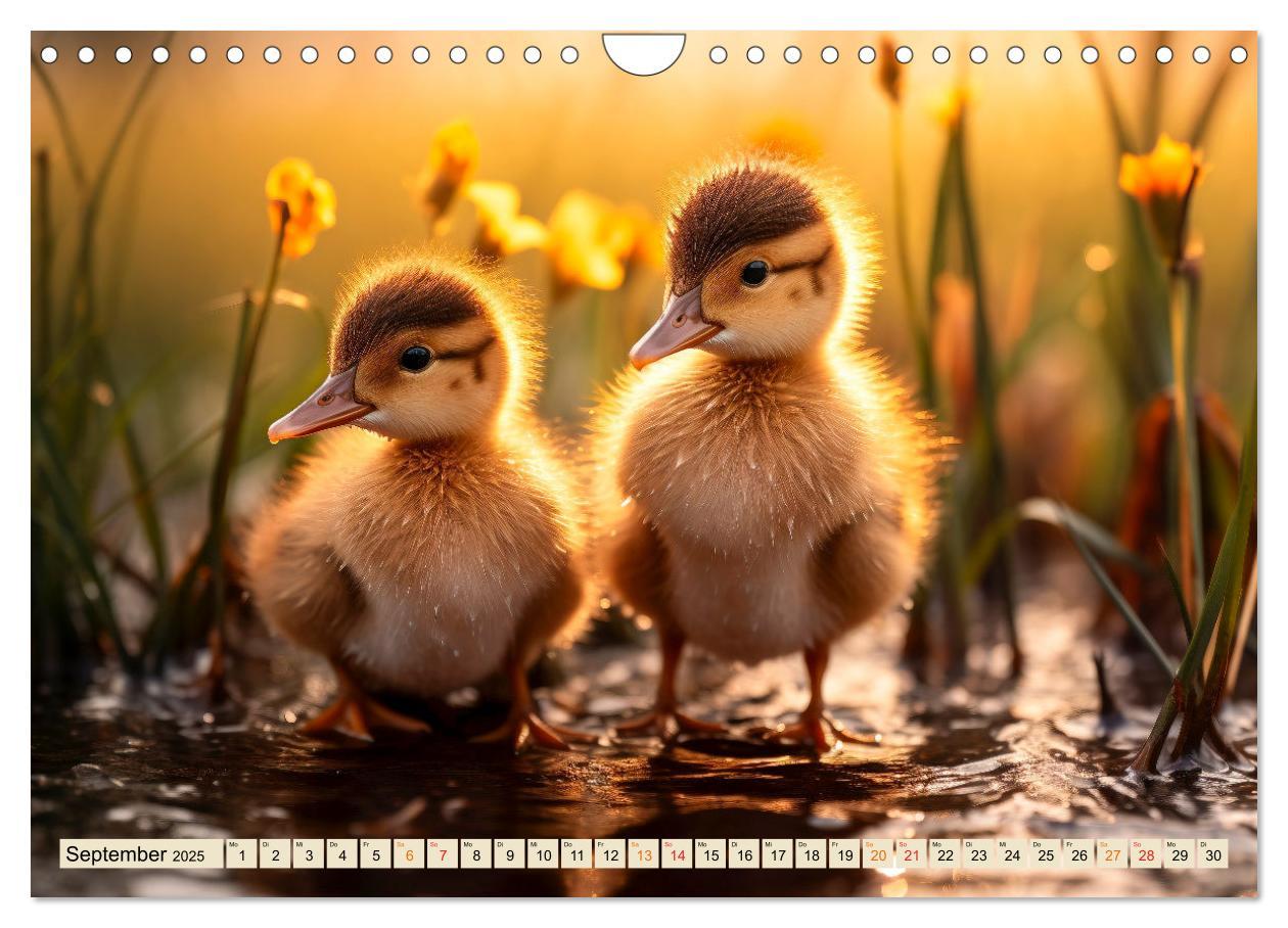 Bild: 9783383835049 | Viele Tiere auf dem Bauernhof (Wandkalender 2025 DIN A4 quer),...