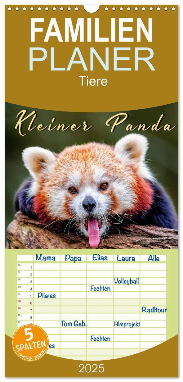 Cover: 9783457117071 | Familienplaner 2025 - Kleiner Panda mit 5 Spalten (Wandkalender, 21...