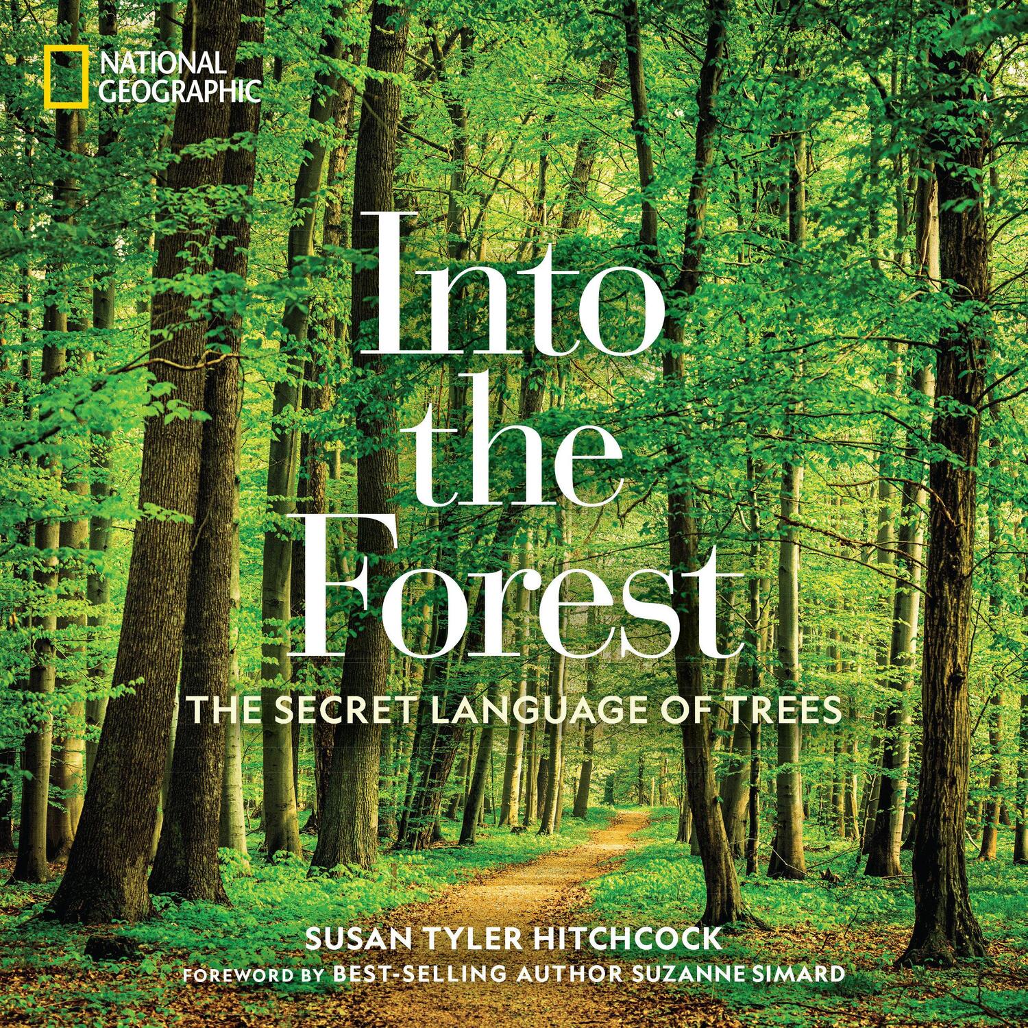 Cover: 9781426218903 | Into the Forest | The Secret Language of Trees | Susan Tyler Hitchcock