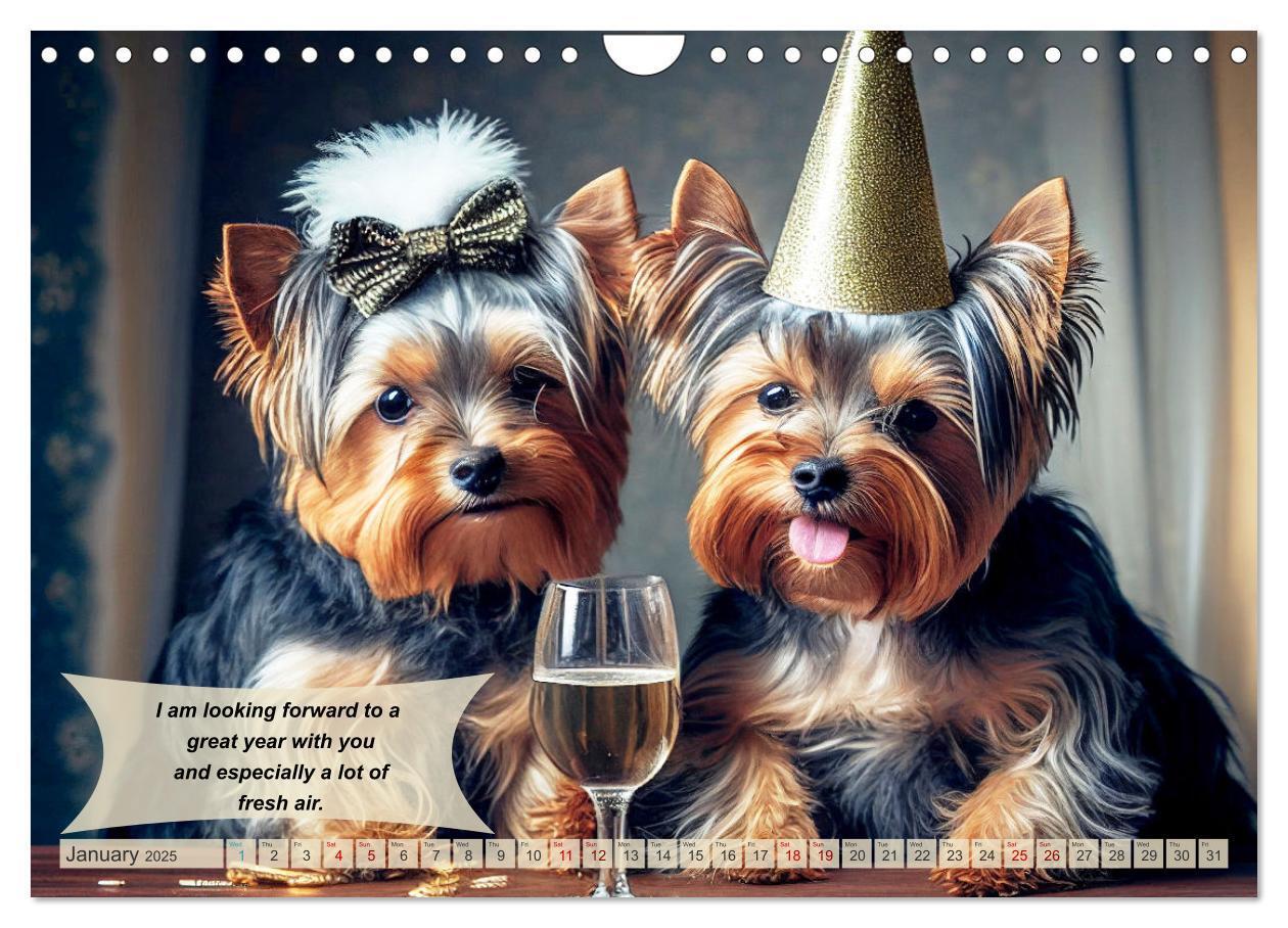 Bild: 9781325986002 | Great fun for Yorkshire Terrier lovers (Wall Calendar 2025 DIN A4...