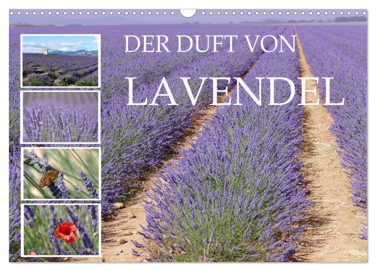 Cover: 9783383882609 | Der Duft von Lavendel (Wandkalender 2025 DIN A3 quer), CALVENDO...