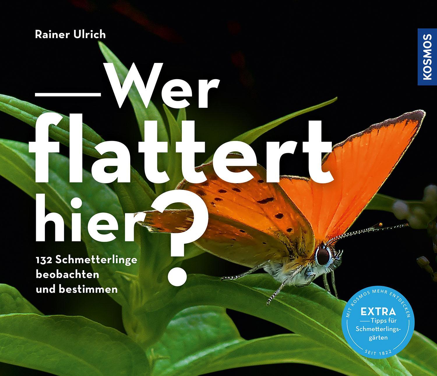 Cover: 9783440169049 | Wer flattert hier | Rainer Ulrich | Taschenbuch | Deutsch | 2022
