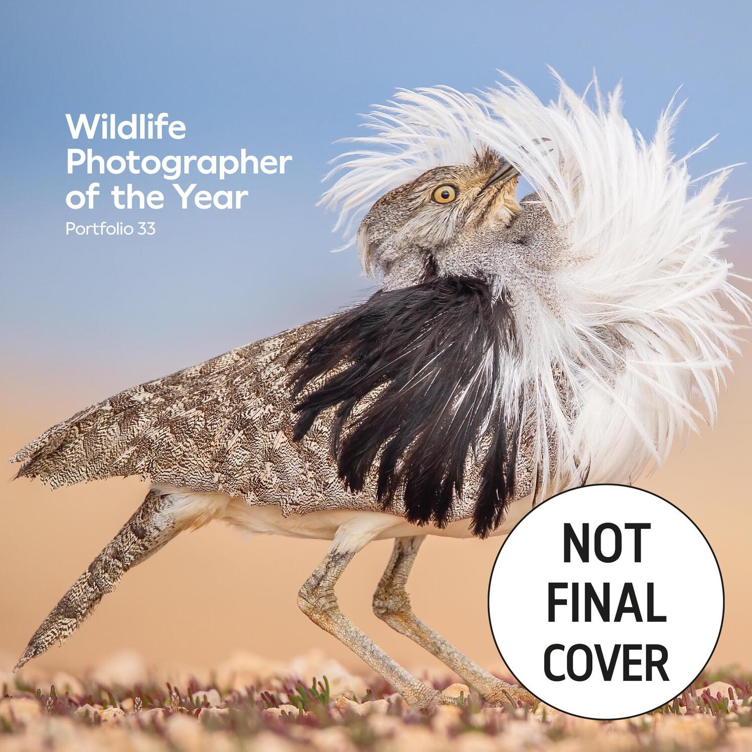 Cover: 9780565095451 | Wildlife Photographer of the Year: Portfolio 33 | Buch | Englisch