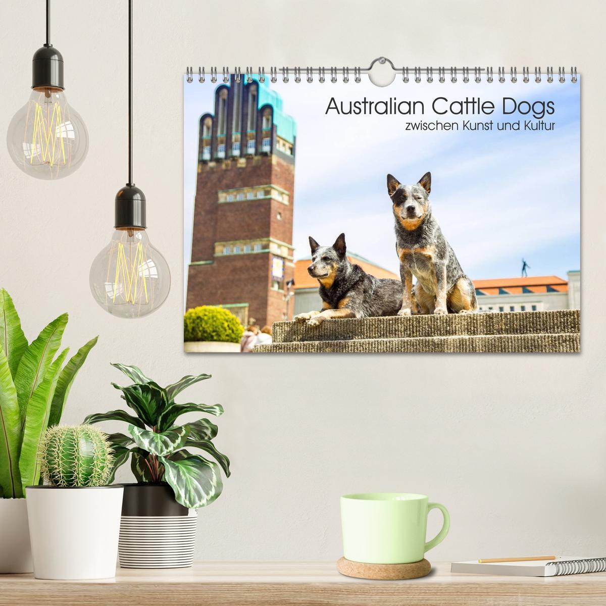 Bild: 9783435463947 | Australian Cattle Dogs zwischen Kunst und Kultur (Wandkalender 2025...