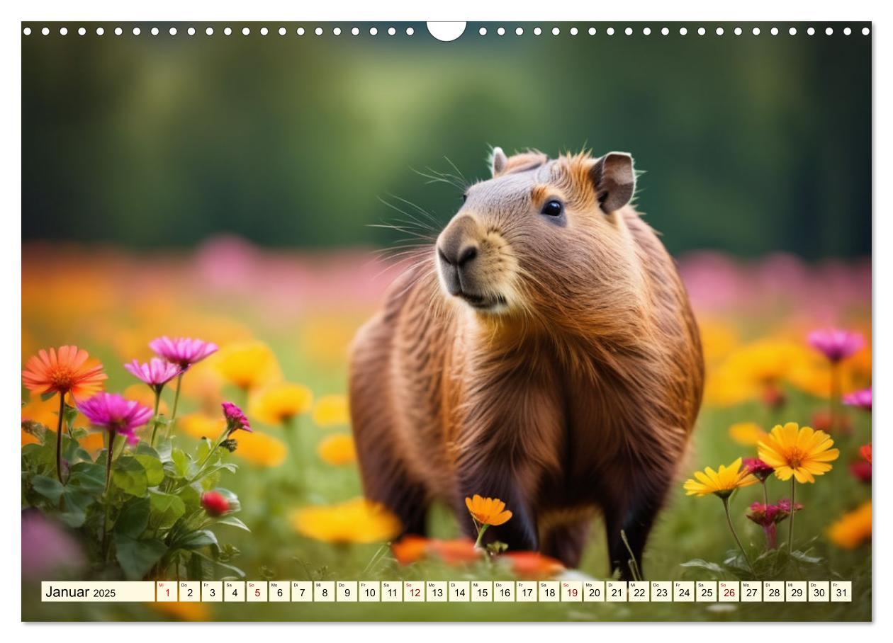 Bild: 9783457143780 | Capybaras - Wasserschweine die Herren der Gräser (Wandkalender 2025...