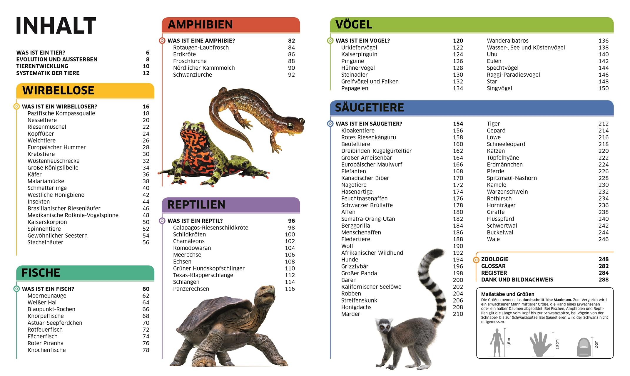 Bild: 9783831033409 | Wissen. Tiere | Die Tierwelt in spektakulären Bildern | John Woodward