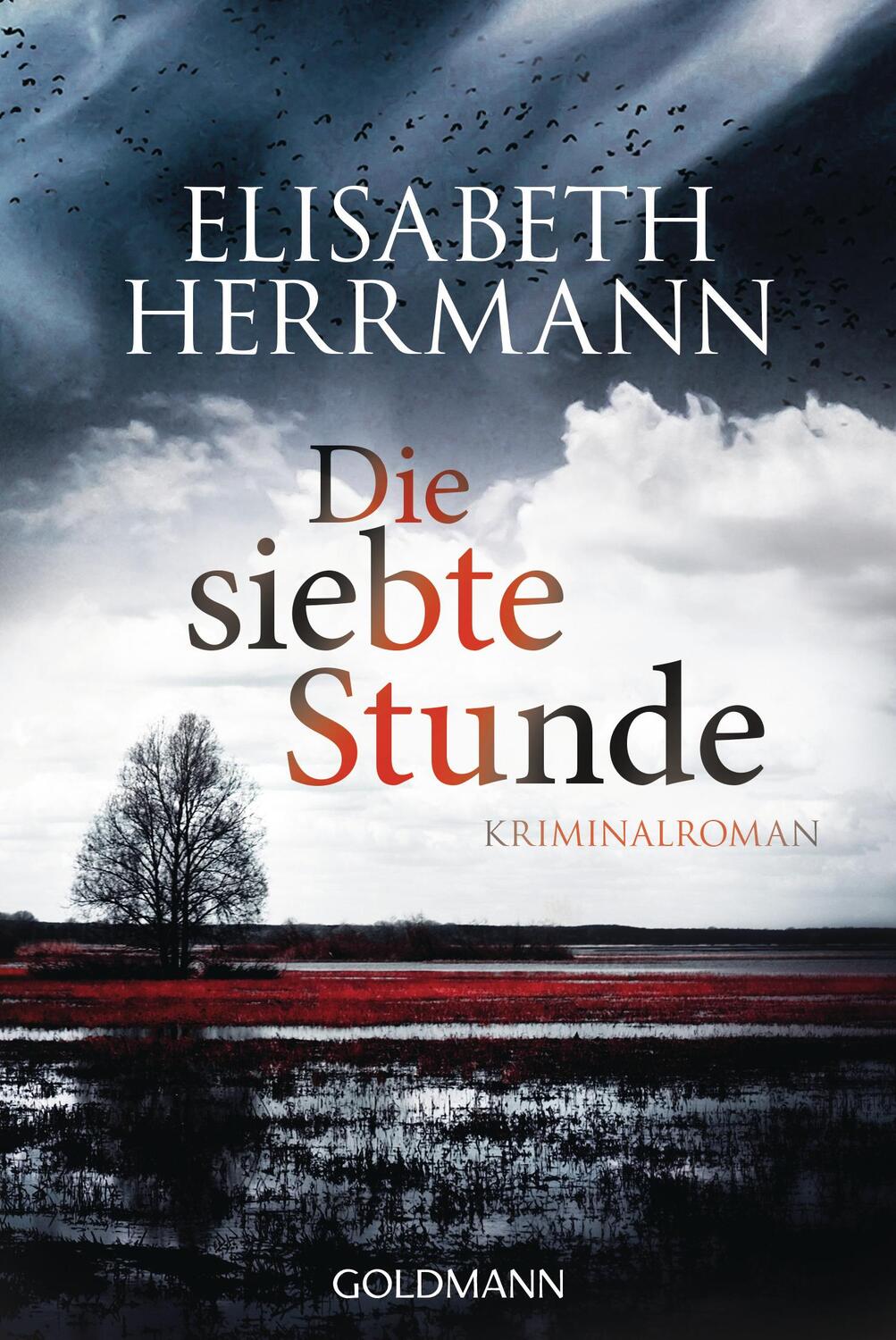 Cover: 9783442484706 | Die siebte Stunde | Joachim Vernau 2 - Kriminalroman | Herrmann | Buch