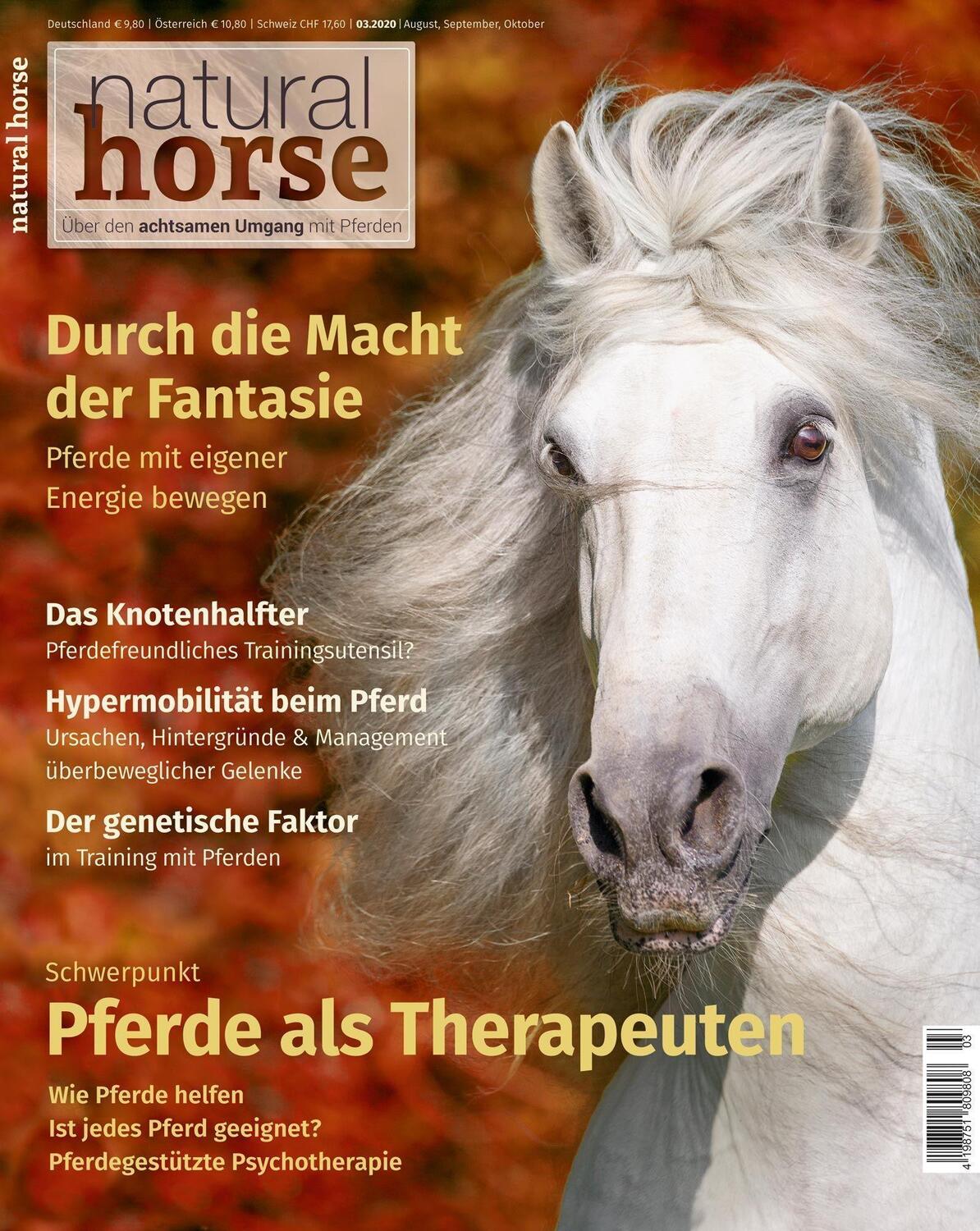 Cover: 9783958471306 | Natural Horse 30 | Pferde als Therapeuten | Hans Schmidtke | Buch