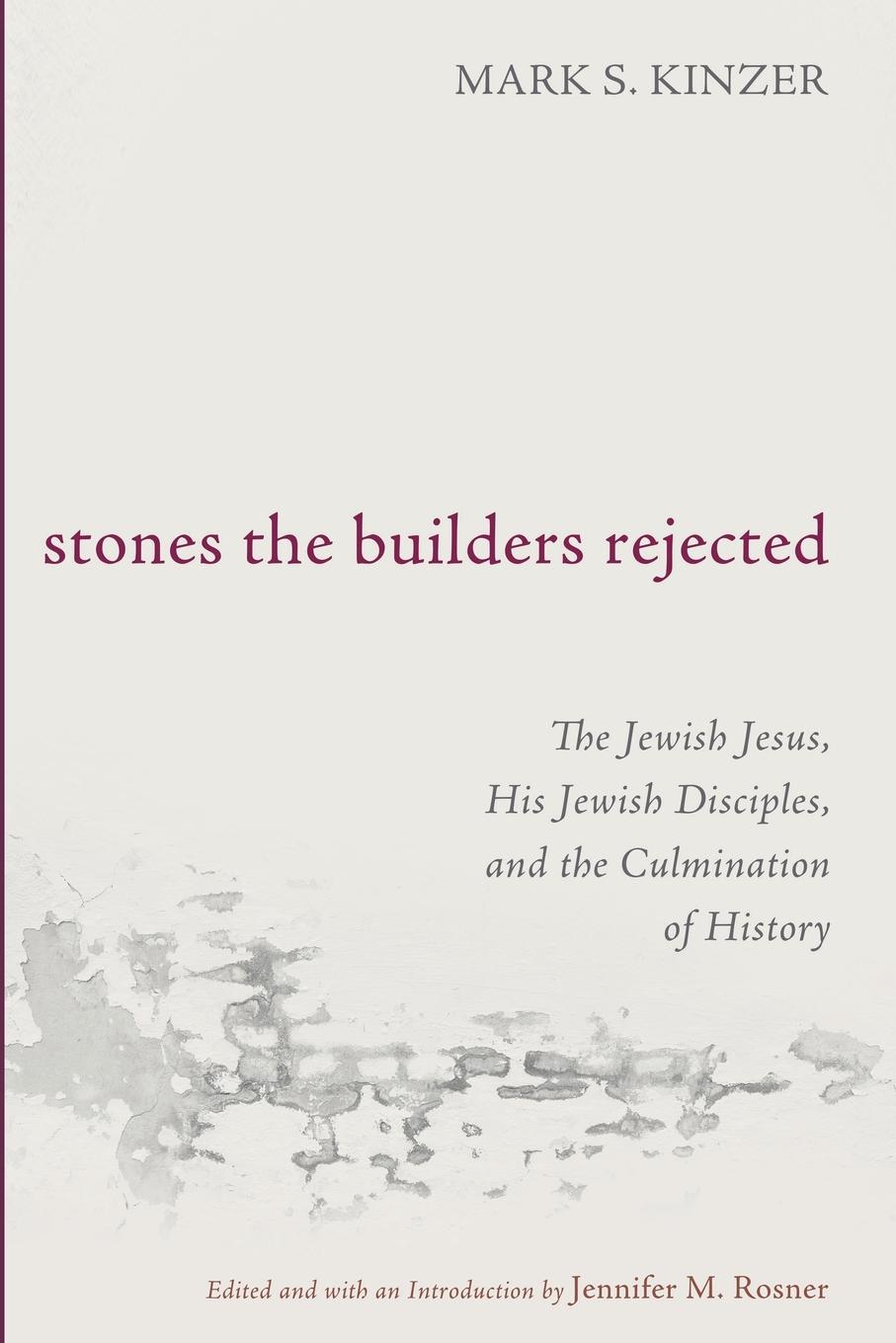 Cover: 9781666778601 | Stones the Builders Rejected | Mark S. Kinzer | Taschenbuch | Englisch