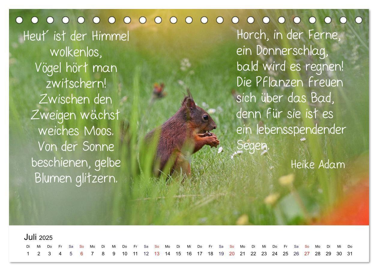 Bild: 9783435433247 | Der literarische Eichhörnchen-Kalender (Tischkalender 2025 DIN A5...