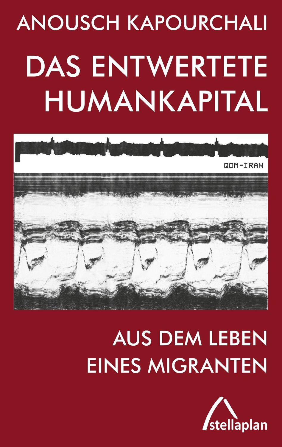 Cover: 9783946310204 | Das entwertete Humankapital | Aus dem Leben eines Migranten | Buch