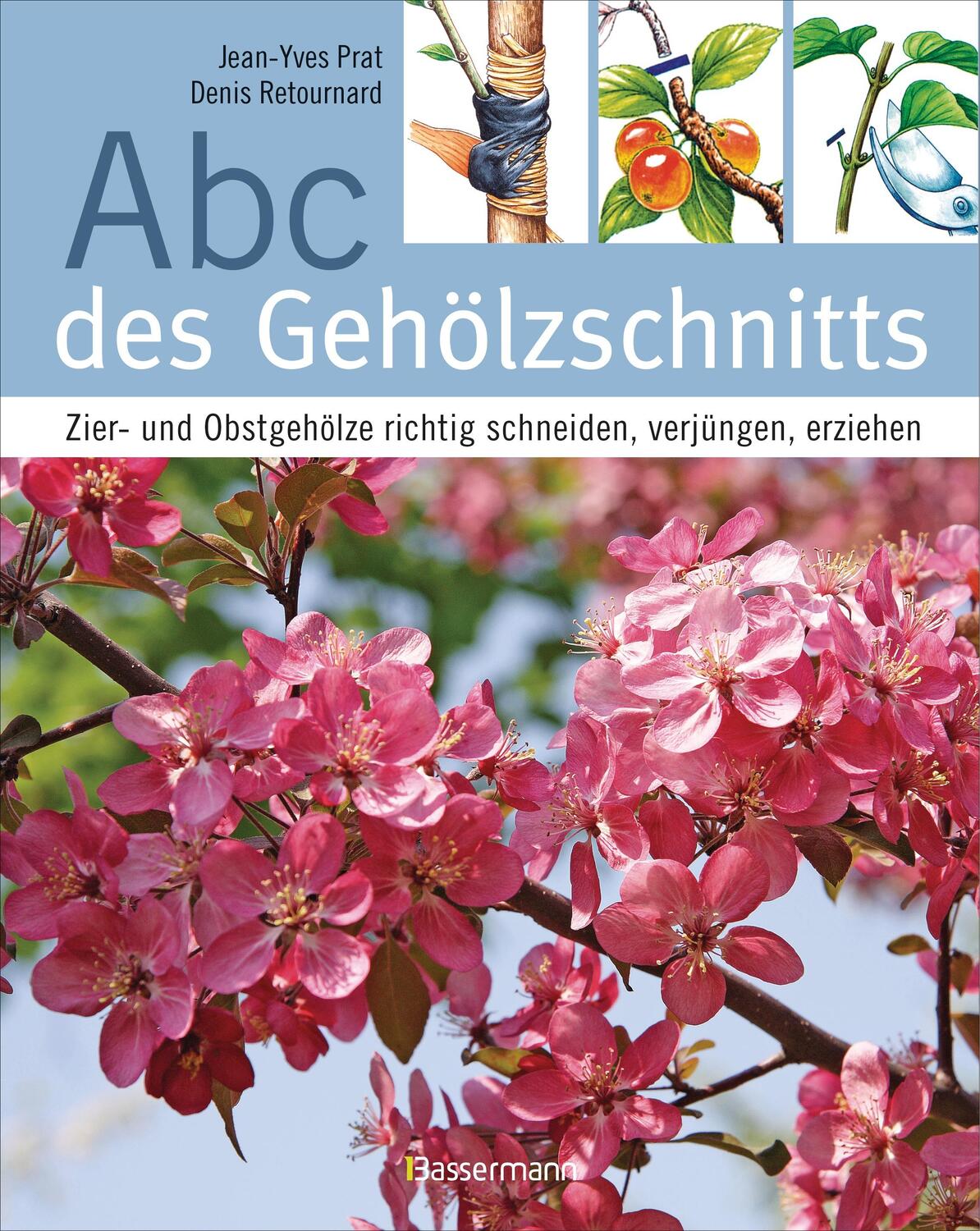 Cover: 9783809435143 | Abc des Gehölzschnitts | Jean-Yves Prat (u. a.) | Taschenbuch | 2016