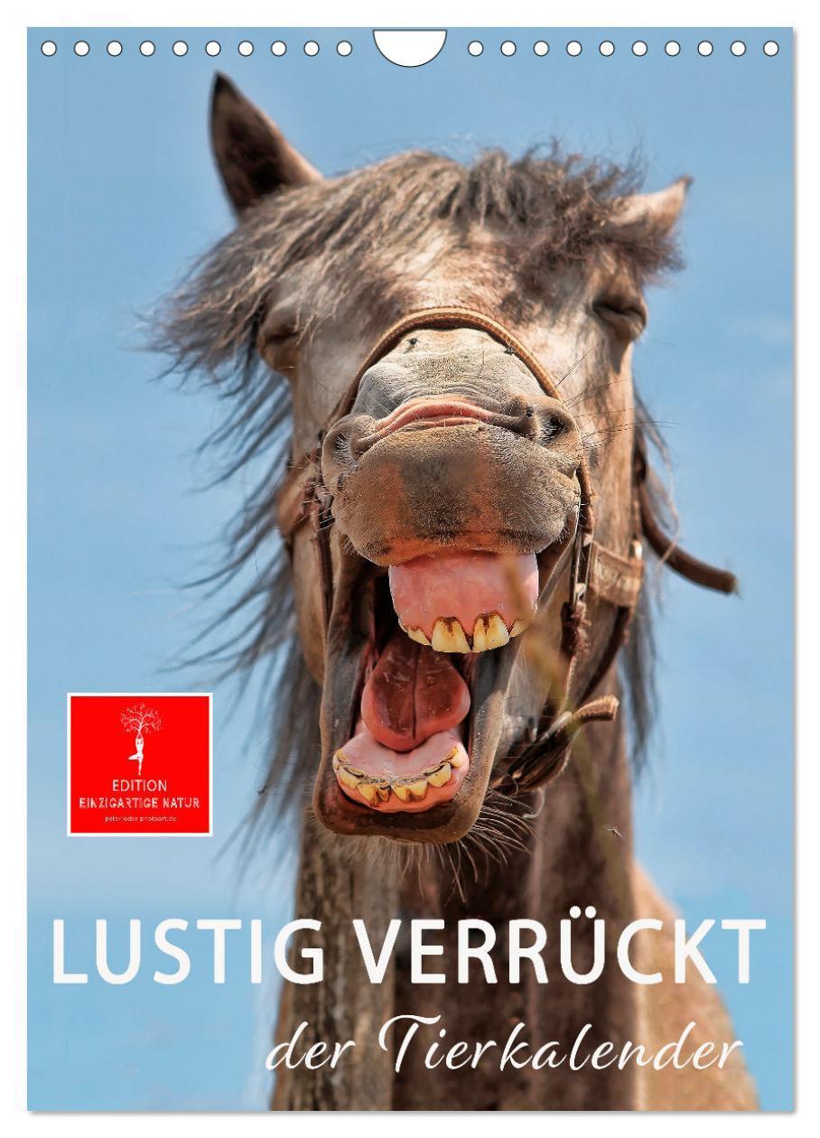 Cover: 9783675652064 | Lustig verrückt - der Tierkalender (Wandkalender 2024 DIN A4 hoch),...