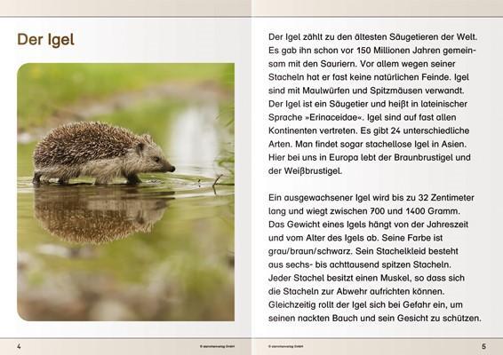 Bild: 9783946904069 | Ich kenne den Igel | Katrin Langhans | Taschenbuch | PAPPE | 19 S.