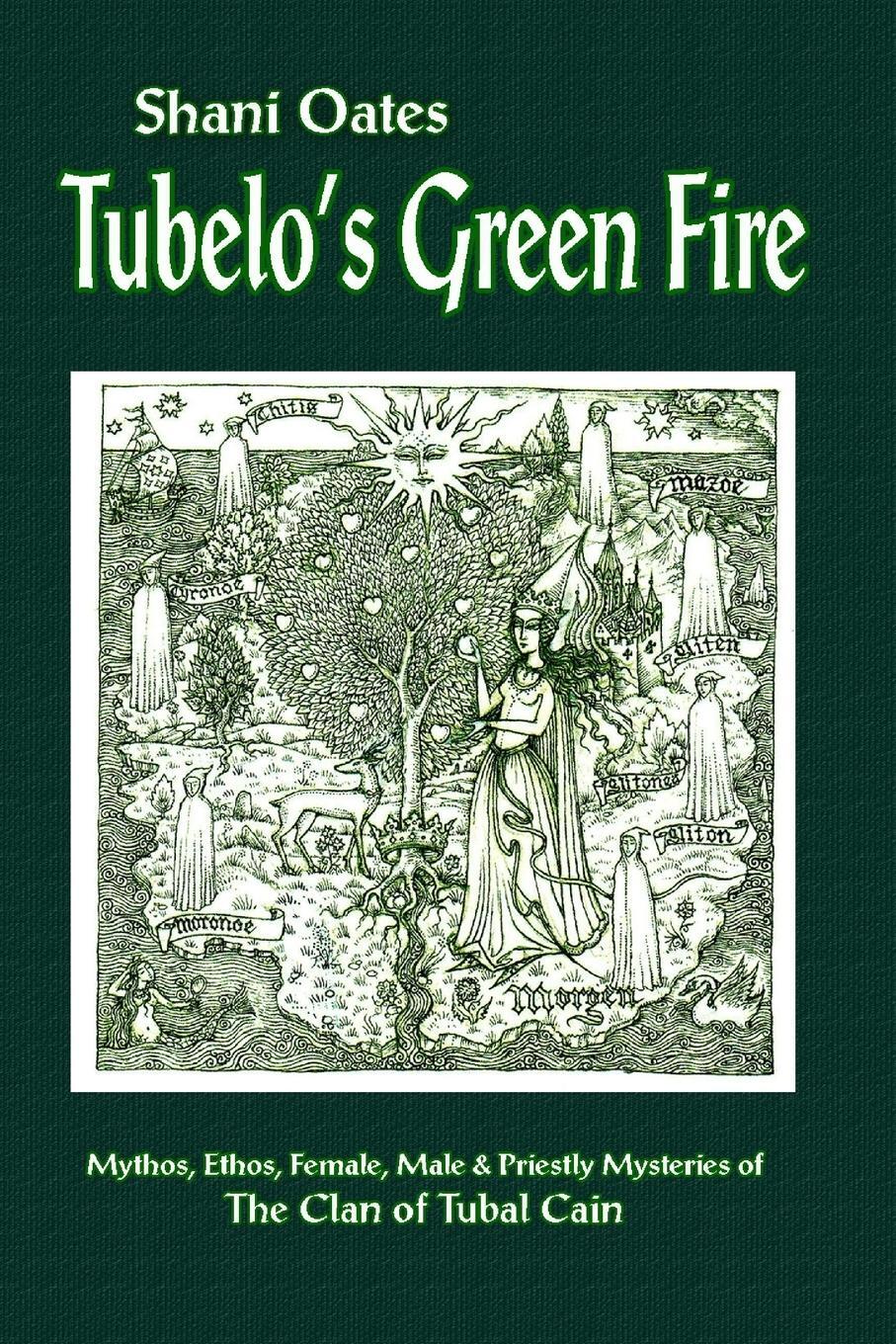 Cover: 9781906958077 | Tubelo's Green Fire | Shani Oates | Taschenbuch | Paperback | Englisch