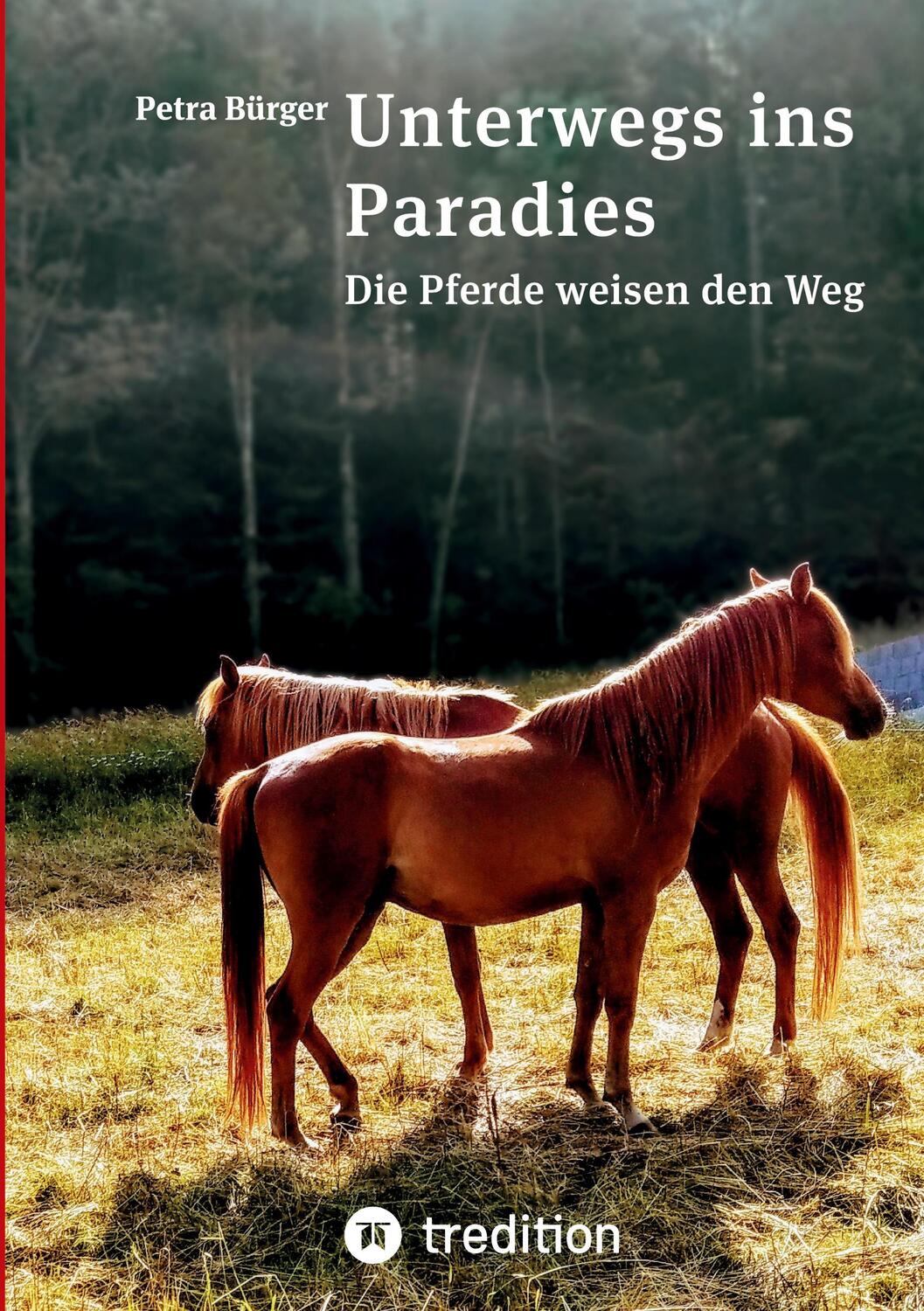 Cover: 9783347502567 | Unterwegs ins Paradies | Die Pferde weisen den Weg | Petra Bürger