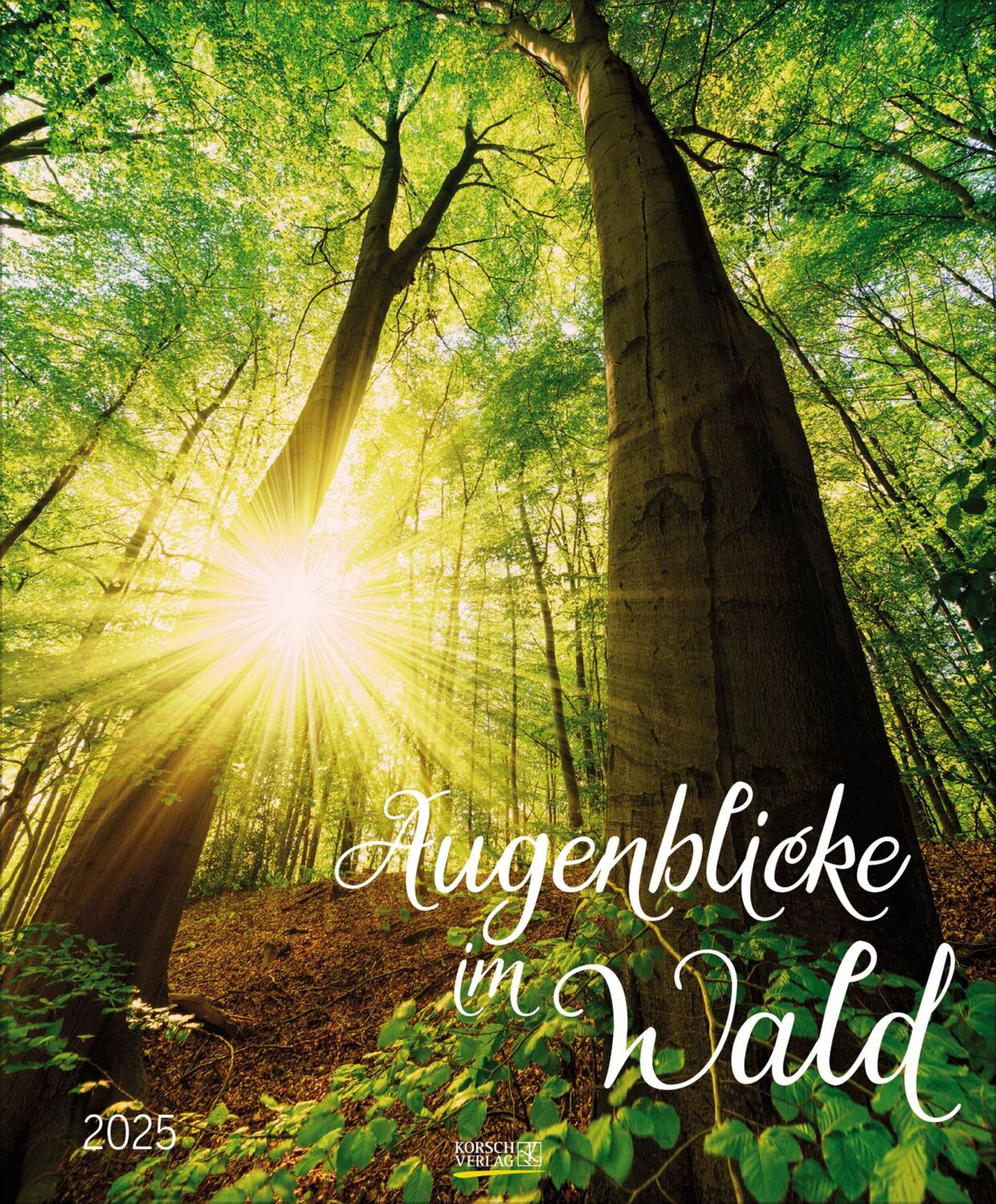 Cover: 9783731879268 | Augenblicke im Wald 2025 | Verlag Korsch | Kalender | Spiralbindung