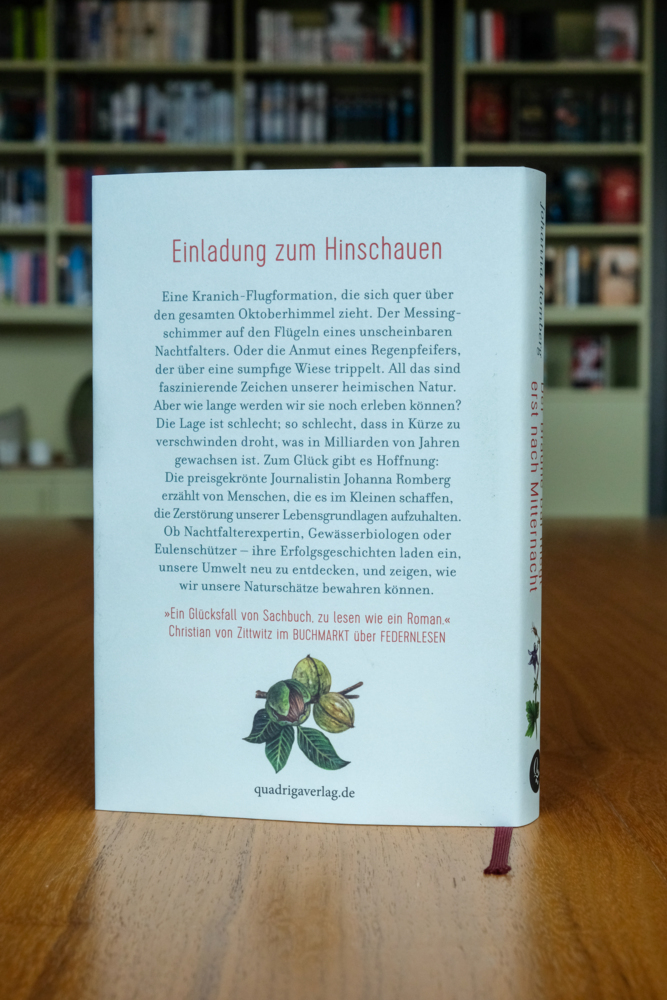 Bild: 9783869951041 | Der Braune Bär fliegt erst nach Mitternacht | Johanna Romberg | Buch