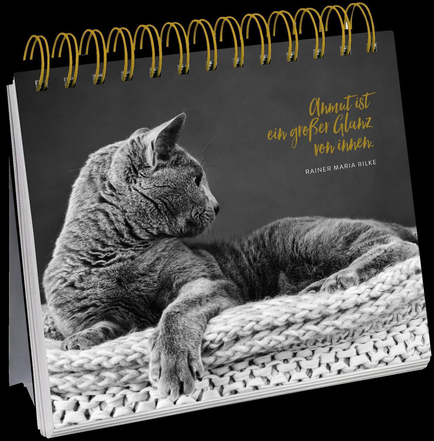 Bild: 9783848520589 | Inspirierende Worte für Katzenfreunde | Groh Redaktionsteam | Buch
