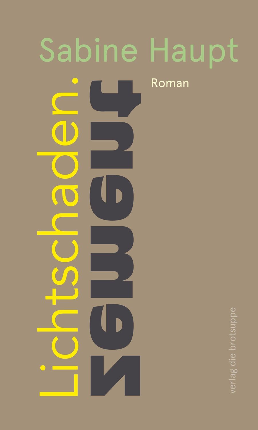 Cover: 9783038670360 | Lichtschaden.Zement | Roman | Sabine Haupt | Buch | 320 S. | Deutsch