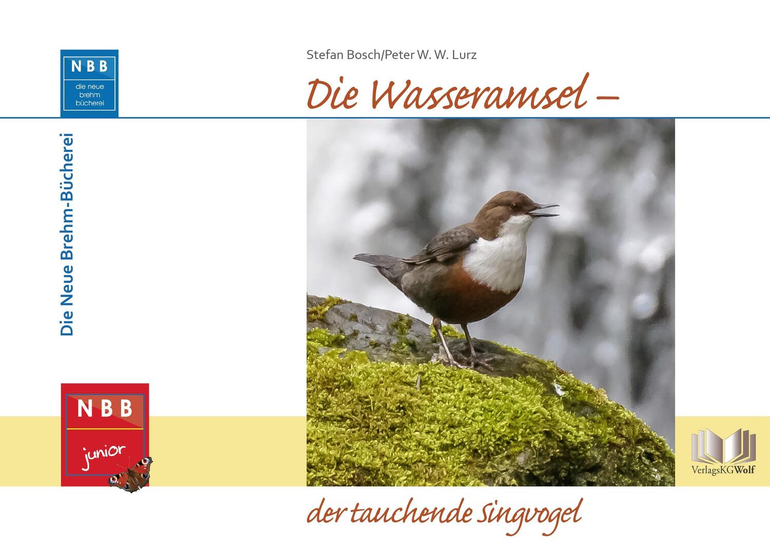 Cover: 9783894322816 | Die Wasseramsel - der tauchende Singvogel | Stefan Bosch (u. a.)
