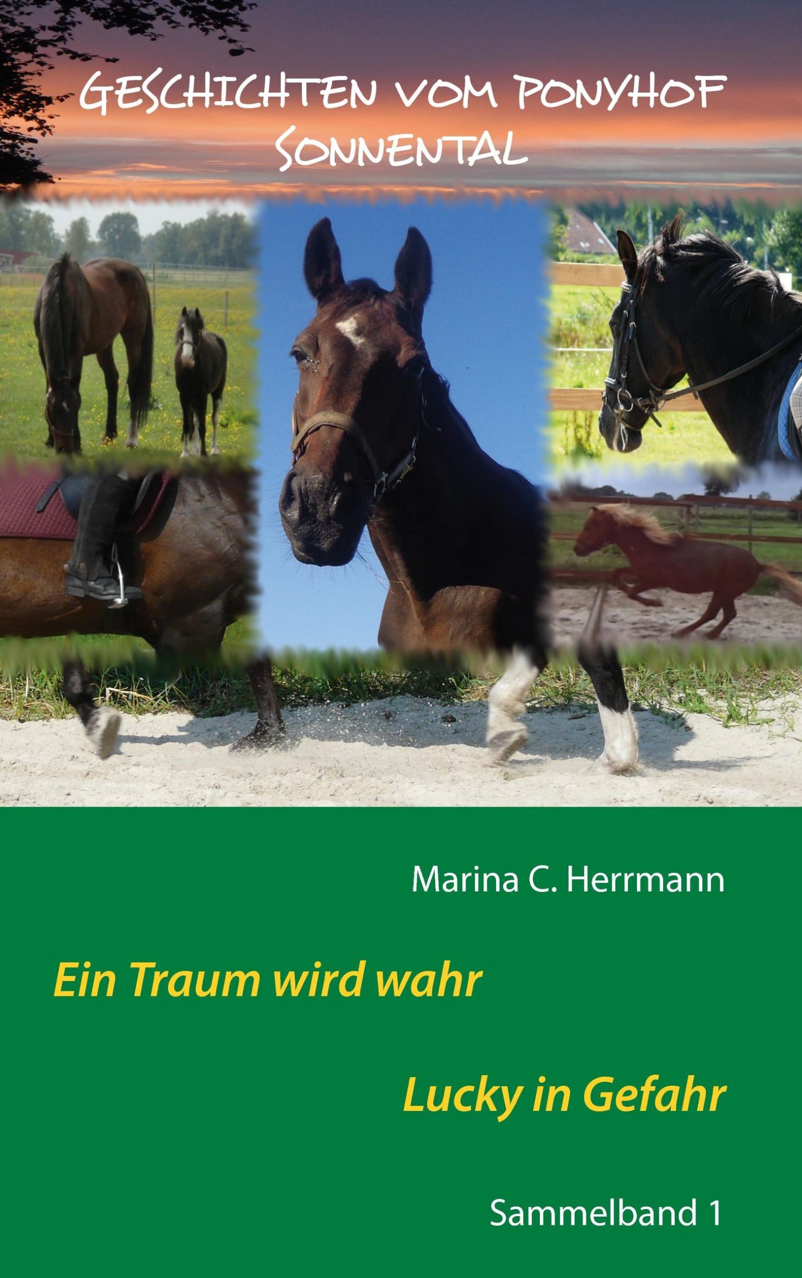 Cover: 9783740729332 | Geschichten vom Ponyhof Sonnental | Sammelband 1 | Marina C. Herrmann