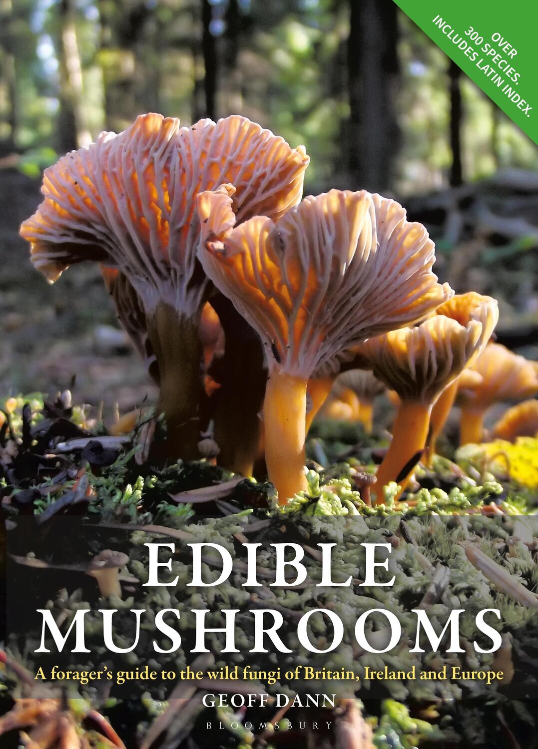 Cover: 9780857843975 | Edible Mushrooms | Geoff Dann | Taschenbuch | Kartoniert / Broschiert