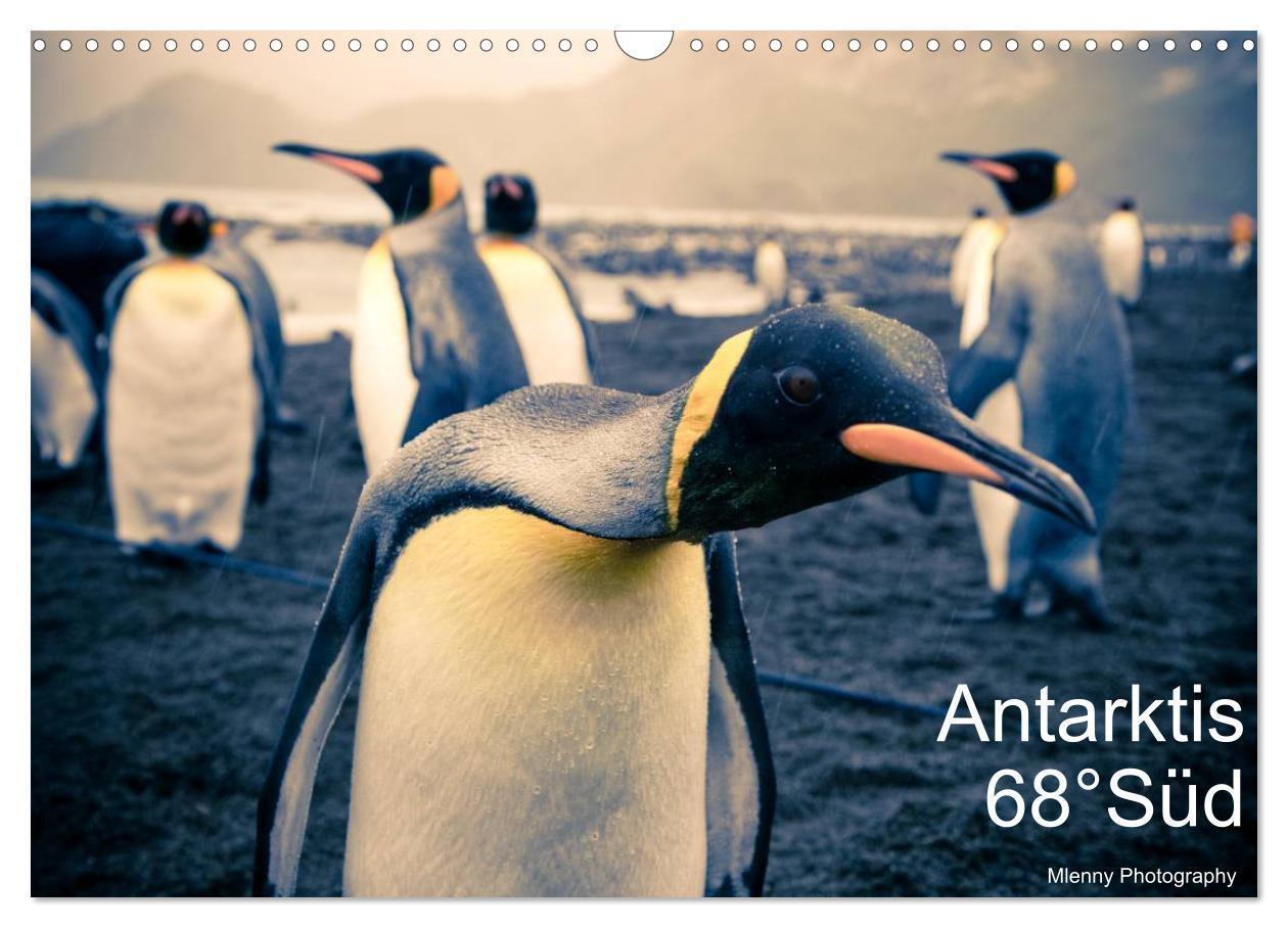 Cover: 9783675576544 | Antarktis 68° Süd (Wandkalender 2024 DIN A3 quer), CALVENDO...