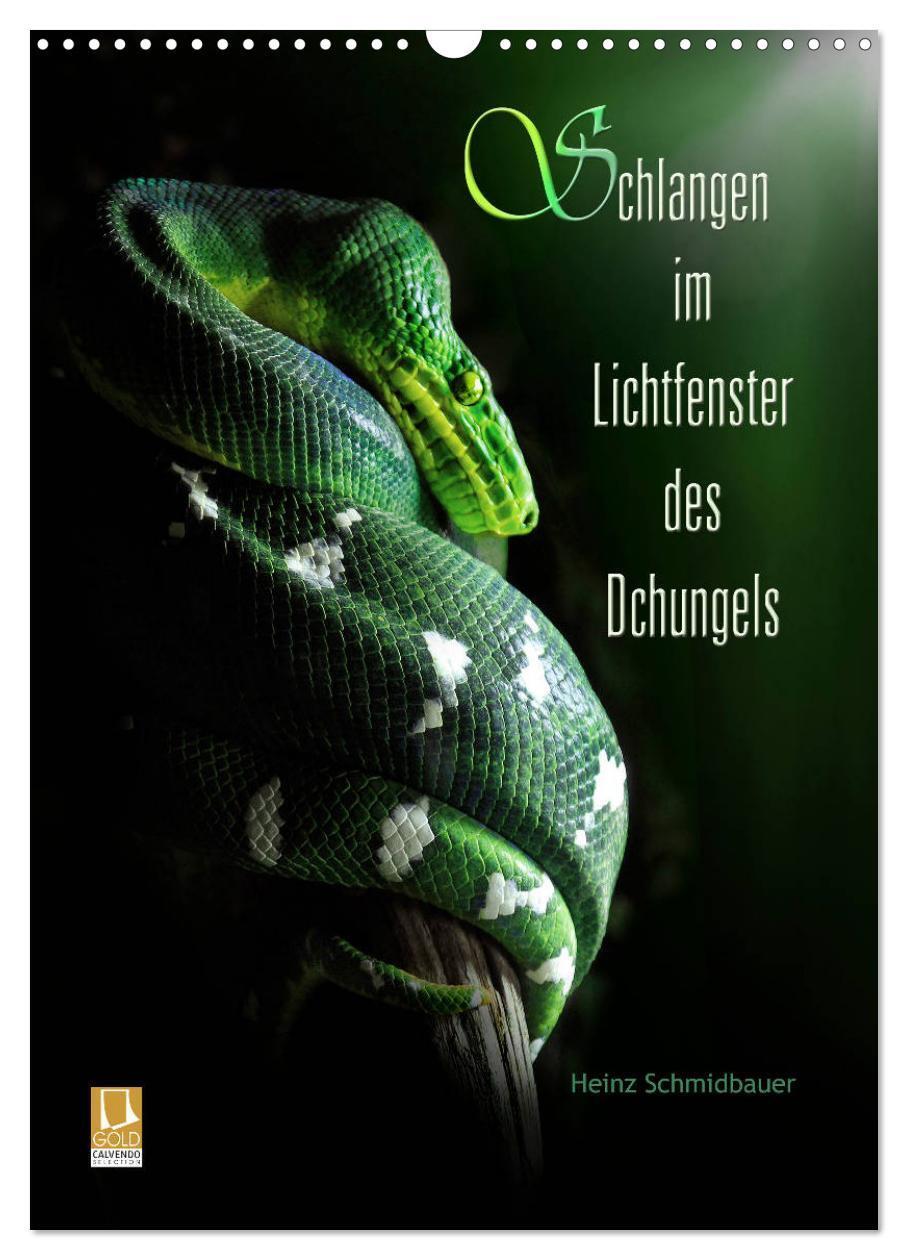 Cover: 9783675700192 | Schlangen im Lichtfenster des Dschungels (Wandkalender 2024 DIN A3...