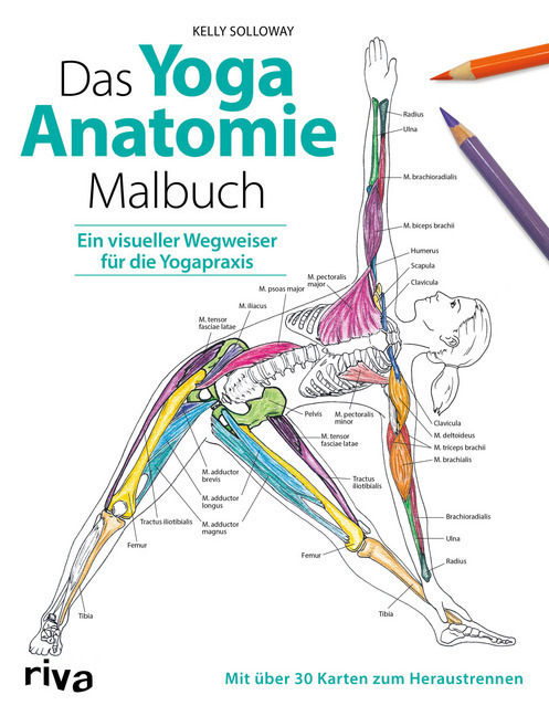 Cover: 9783742310002 | Das Yoga-Anatomie-Malbuch | Kelly/Stutzman, Samantha Solloway | Buch