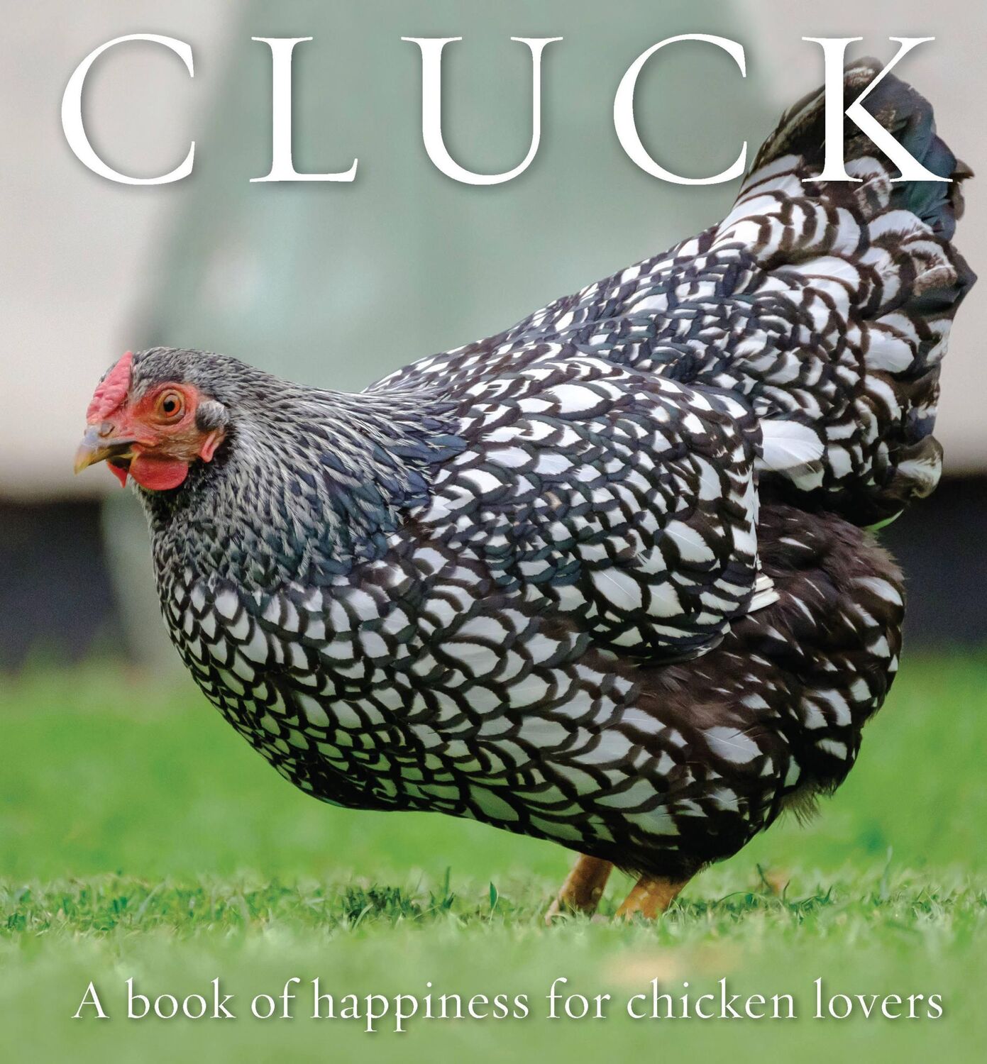 Cover: 9781925820478 | Cluck | A Book of Happiness for Chicken Lovers | Freya Haanen | Buch