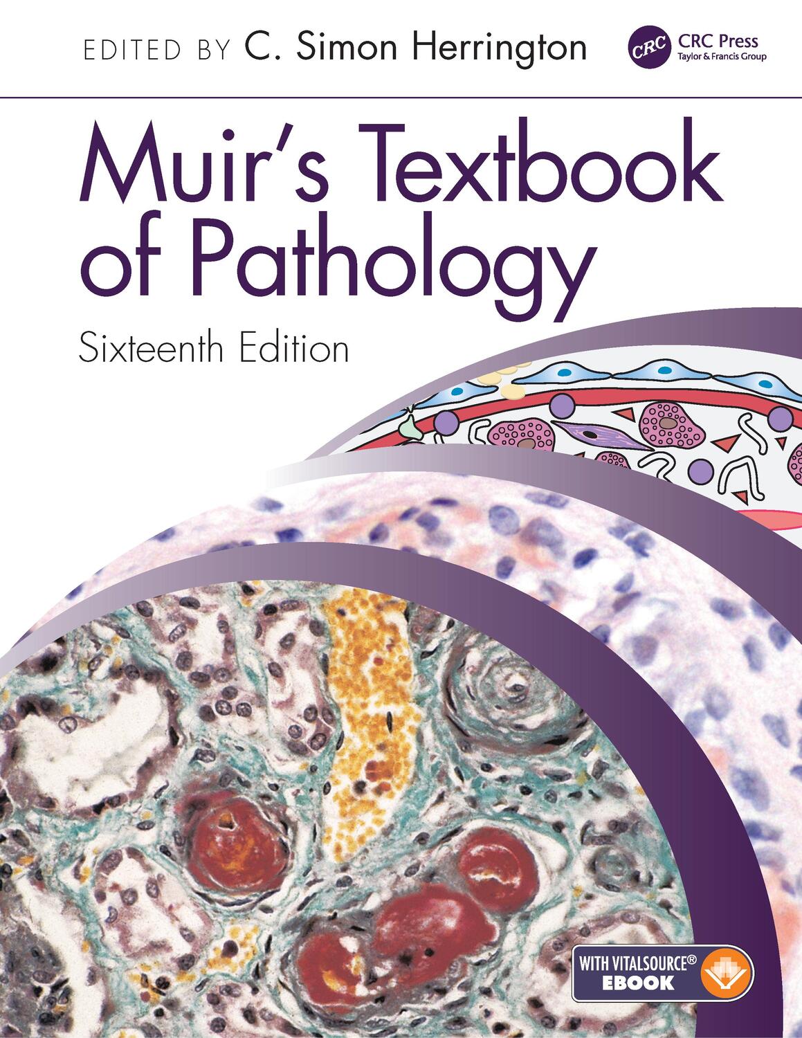 Cover: 9780367146719 | Muir's Textbook of Pathology | Taschenbuch | Englisch | 2020
