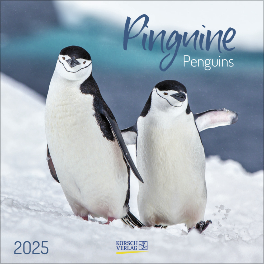 Cover: 9783731880240 | Pinguine 2025 | Korsch Verlag | Kalender | Englisch Broschur | 13 S.